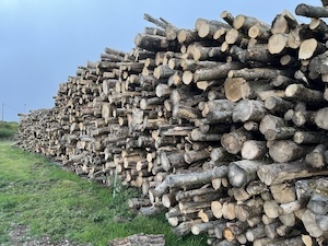 Stack of Cordwood